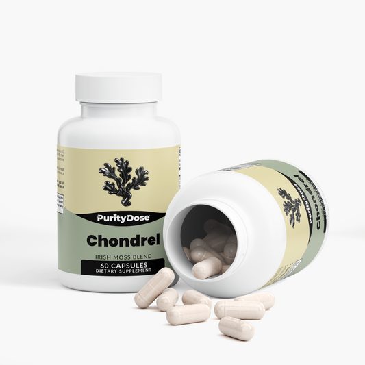 Chondrel — Sea Moss Blend — product view 3