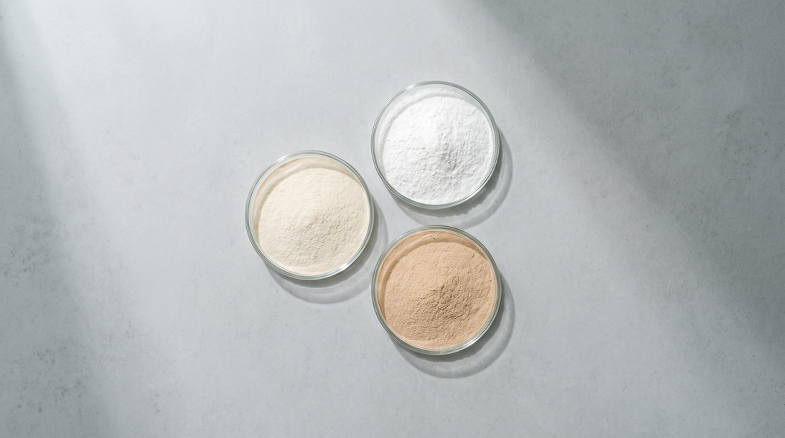 Three shallow glass dishes of different pale powders shot from above