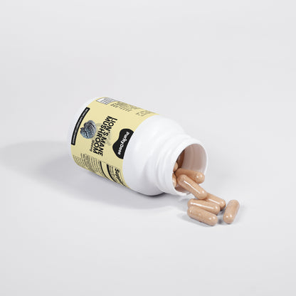 Lion's Mane Mushroom