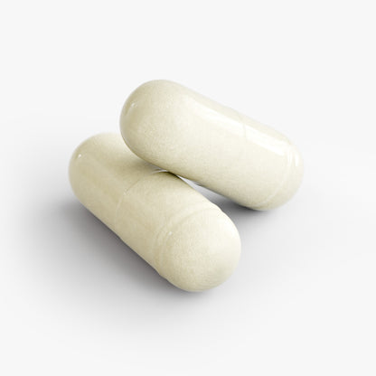 Enzymereach™ — Digestive Enzyme + Probiotic Complex