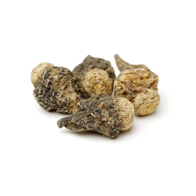 Maca root