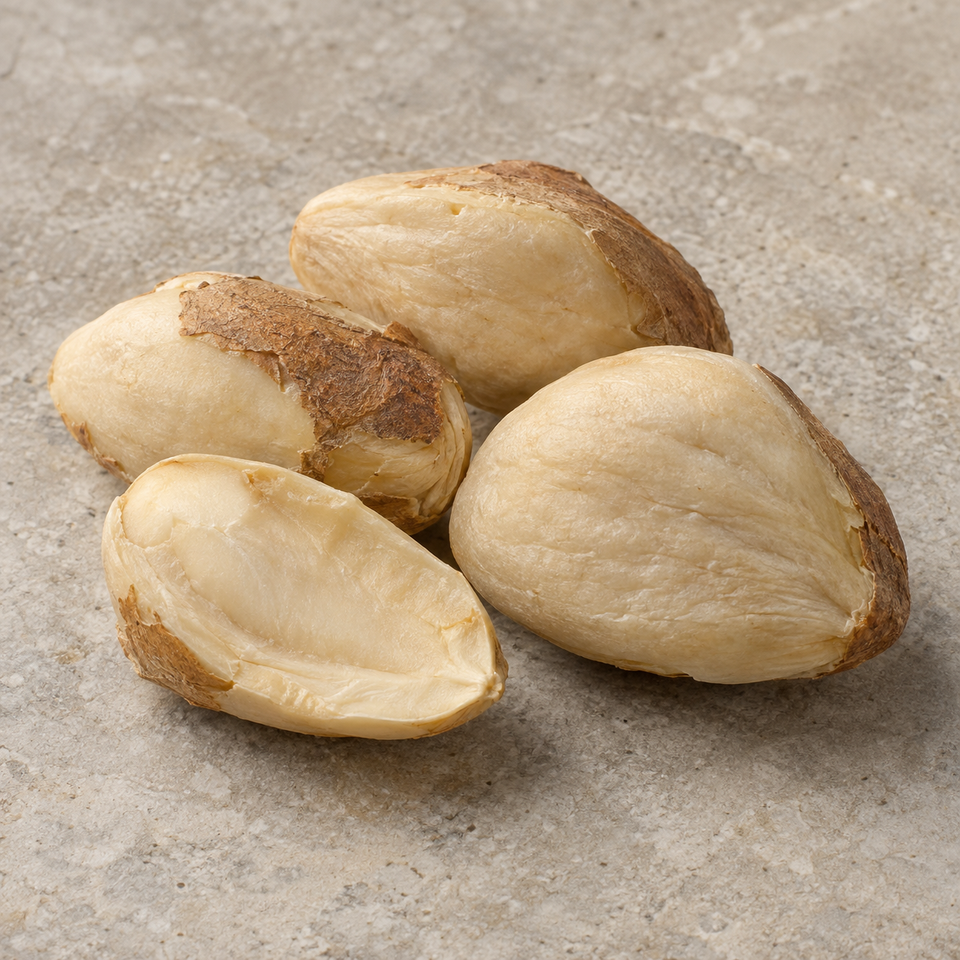 African mango seed