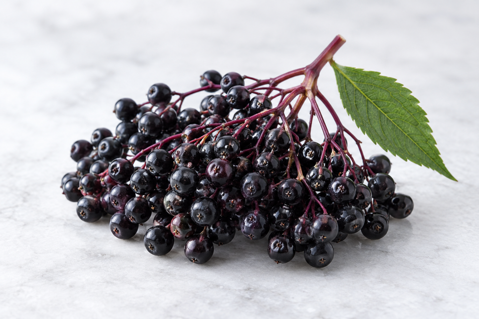 Elderberry