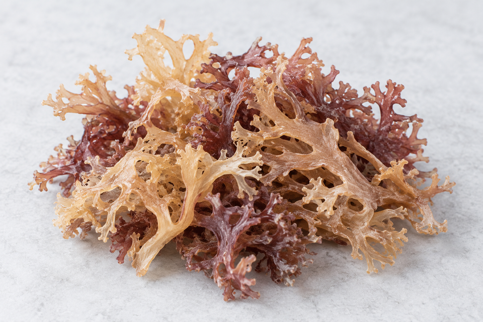 Irish moss