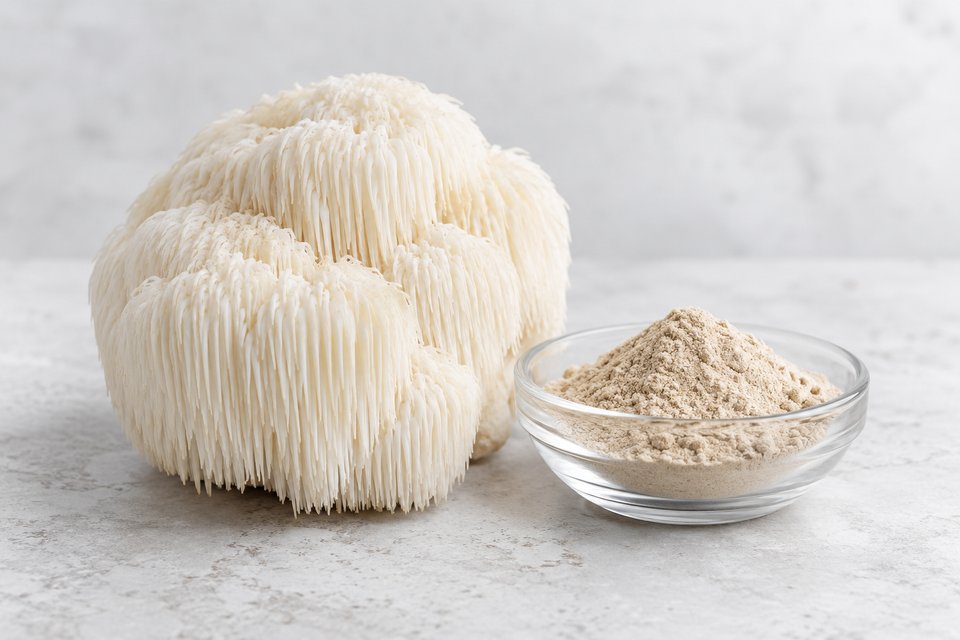 Lion’s mane