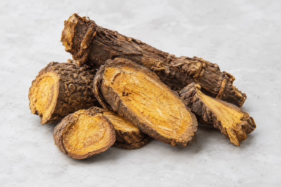 Polygonum cuspidatum root
