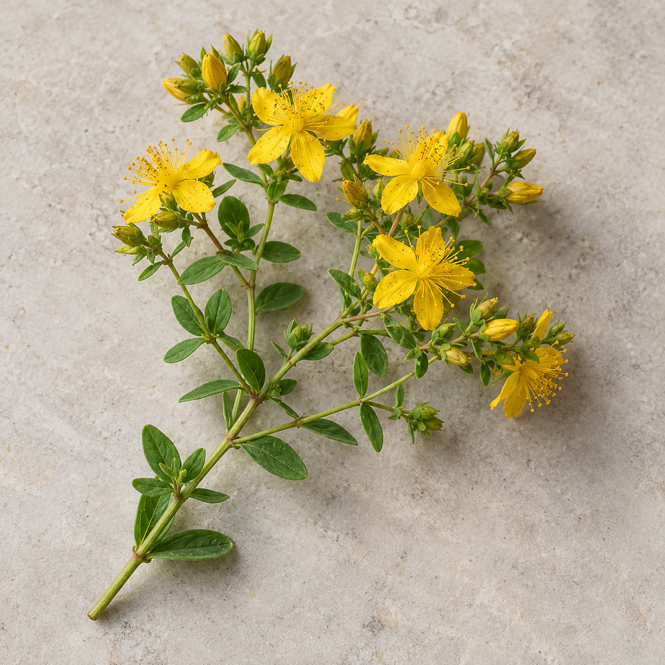 St. John’s wort