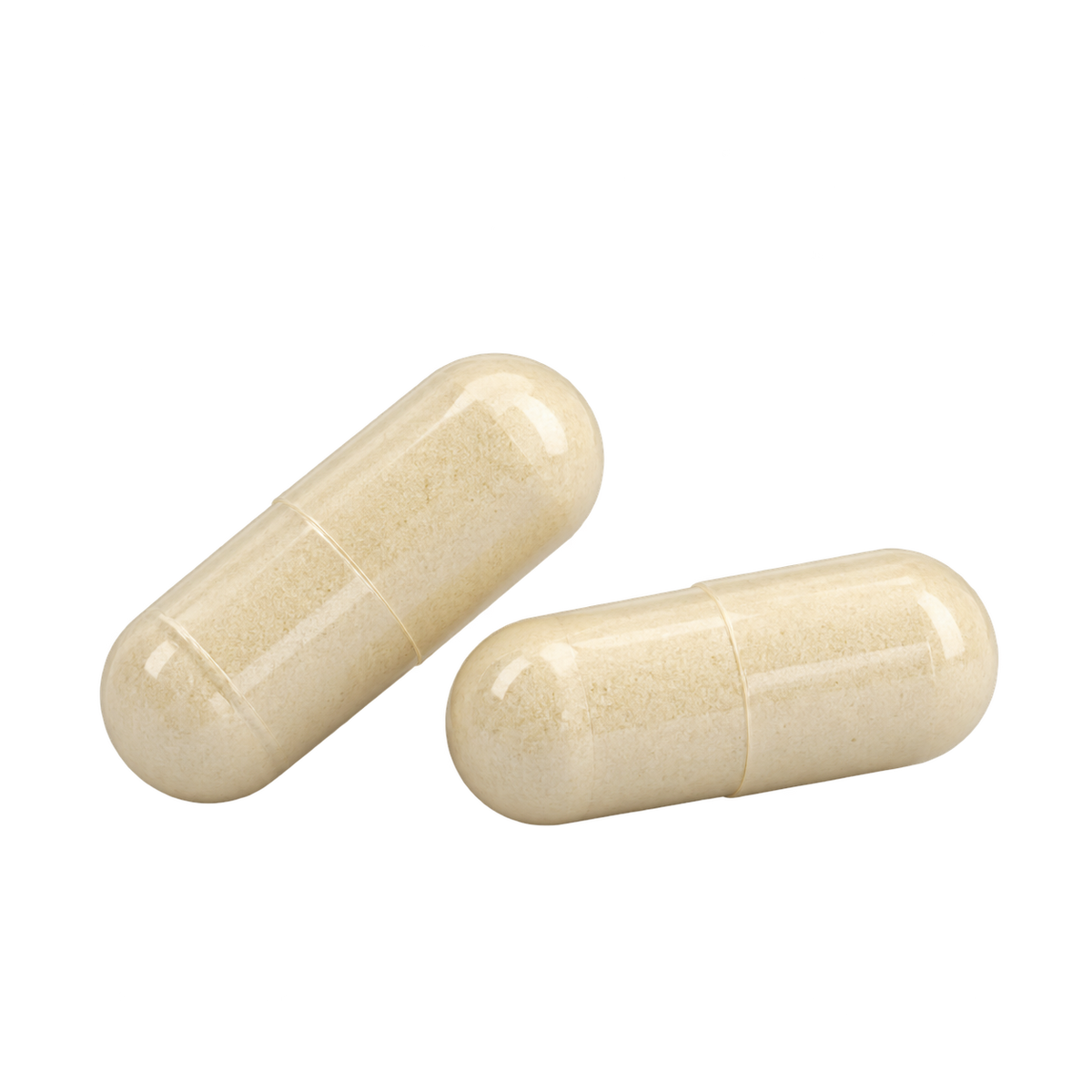 Gutloom™ — Inulin + Enzyme Complex — Take 2 capsules daily.