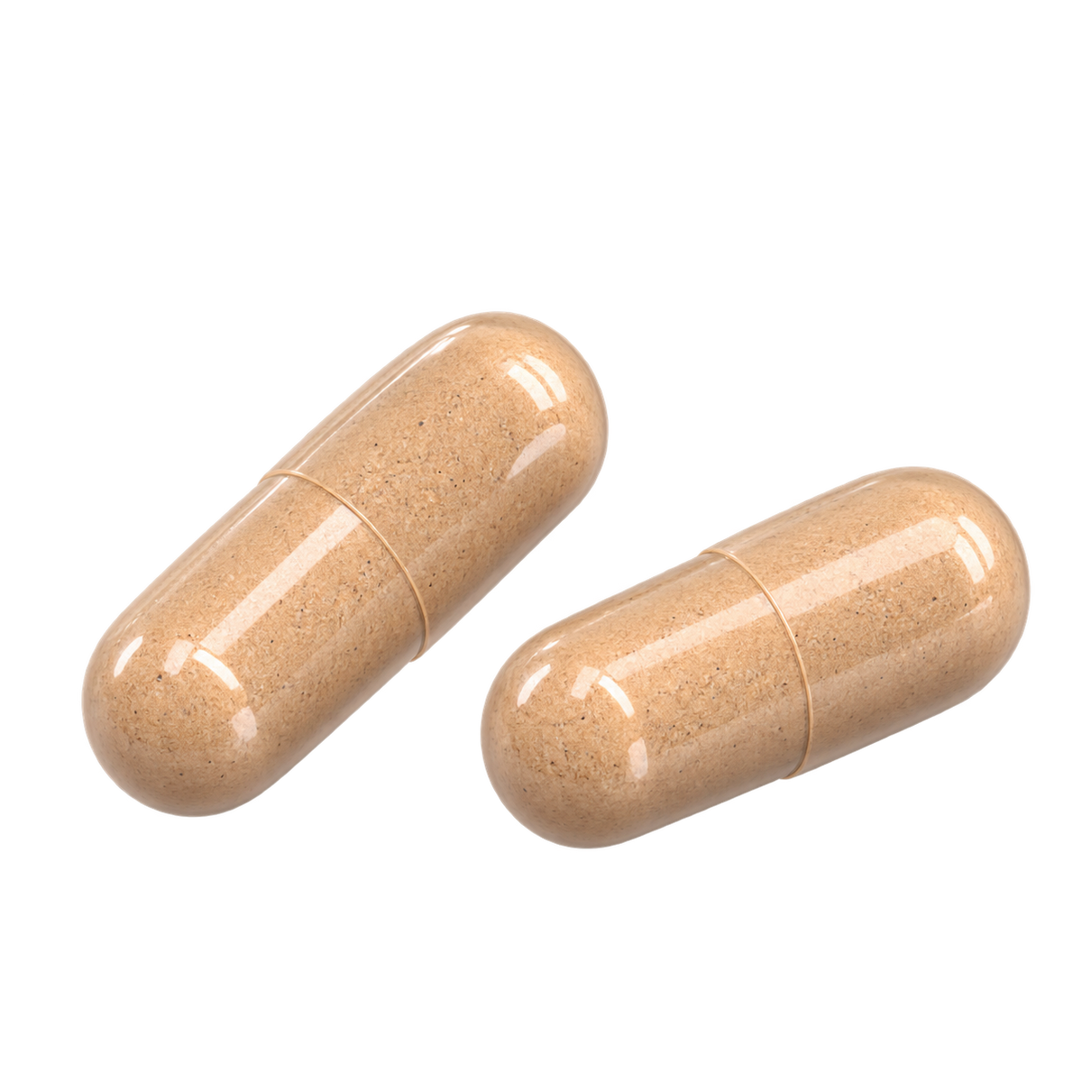 Manecircuit™ — Lion’s Mane — Take 2 capsules daily.