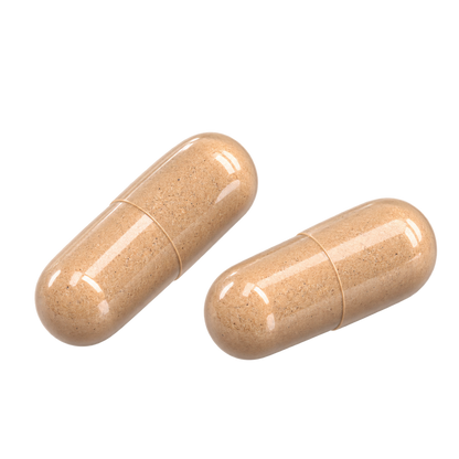 Manecircuit™ — Lion’s Mane — Take 2 capsules daily.