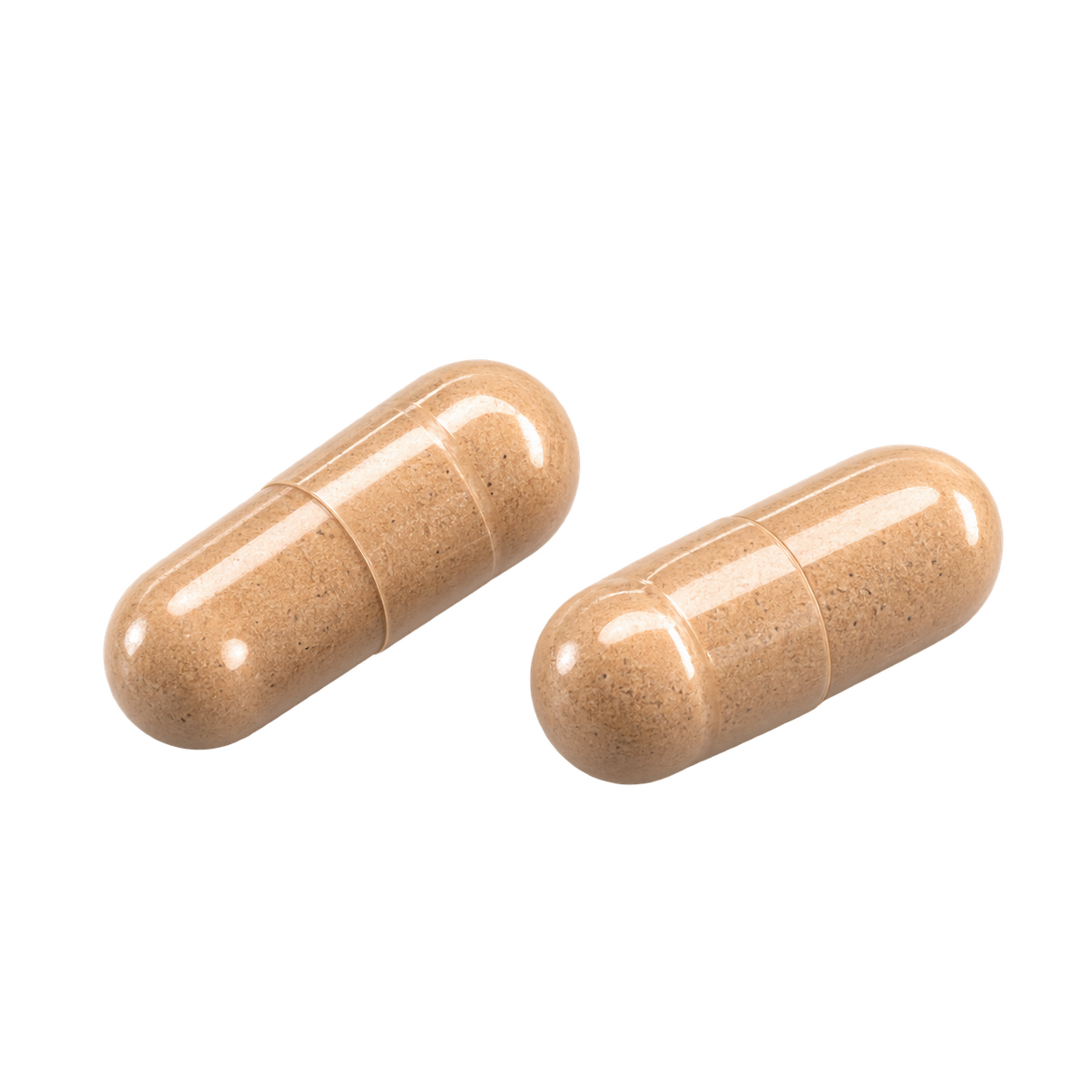 Chagamatrix™ — Chaga Mushroom — Take 2 capsules daily.