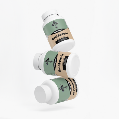 Root Reverie — Ashwagandha — product view 4