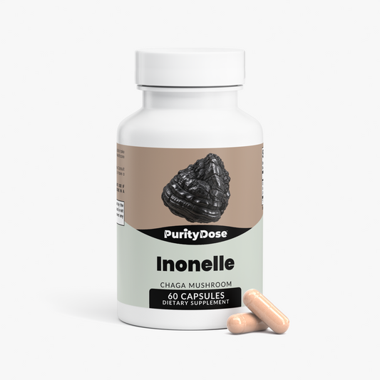 Inonelle — Chaga Mushroom — product view 2