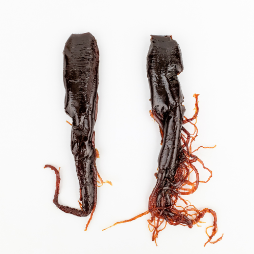 Ginseng root